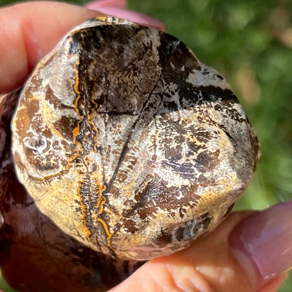 Picture jasper (1) owl craving | crystal - Picture 12 of 12